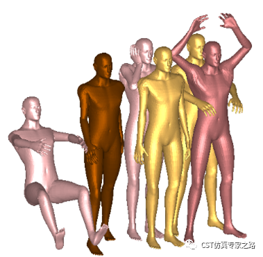 CST中，如何將均勻人體空心2D模型填充3D
